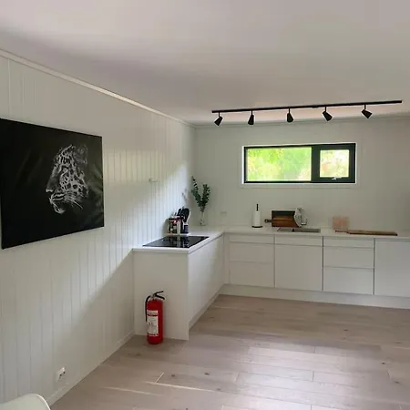 Ny Bolig Naer 'under' Apartman Spangereid